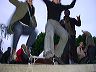 zap-2004-07-01-07