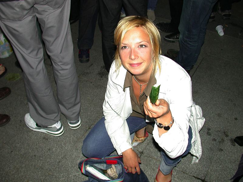 zap-2004-07-15-08.jpg